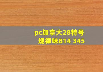 pc加拿大28特号规律味814 345